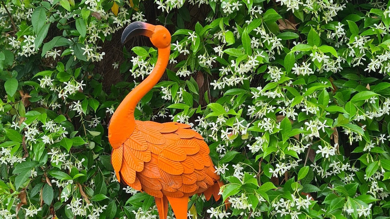 Photo of Outdoor in Saint-Paul-de-Vence