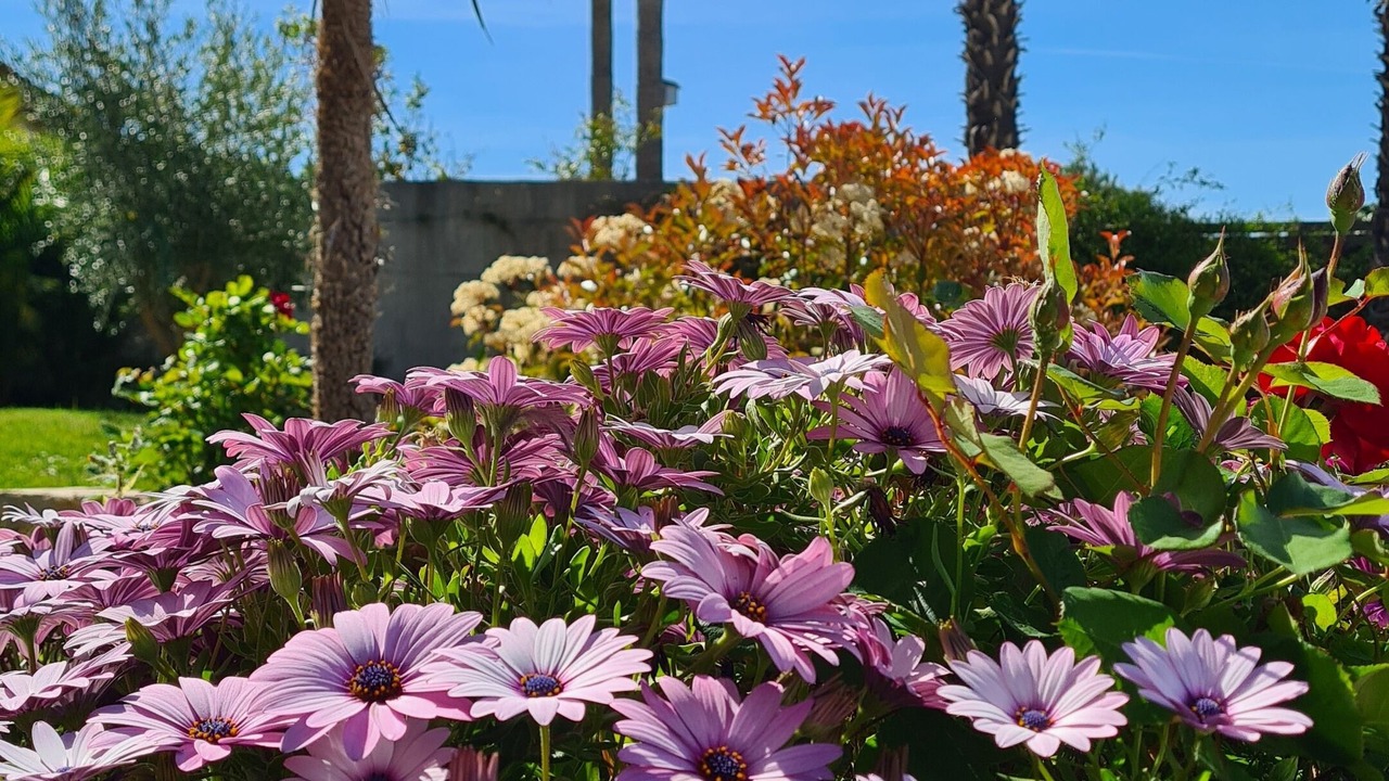 Photo of Outdoor in Saint-Paul-de-Vence