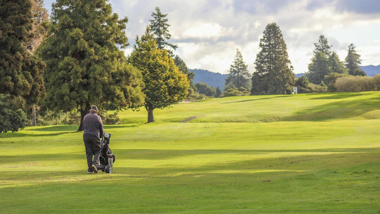 Photo of Others in Fenton Street