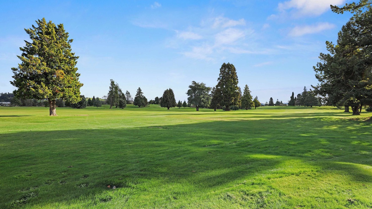 Photo of Others in Fenton Street