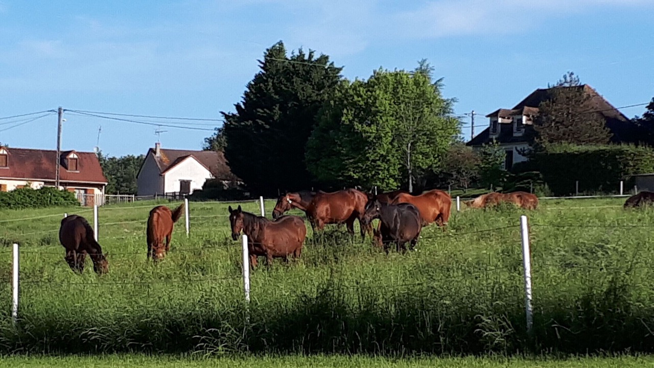 Photo of Outdoor in Le Blanc