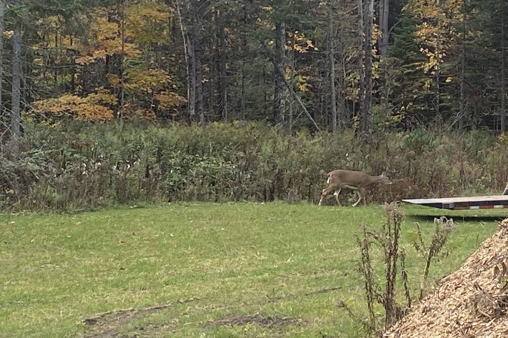 Photo of Outdoor in North Creek