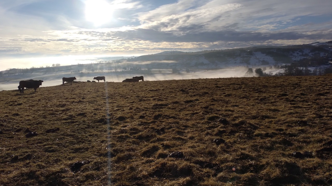 Photo of Others in Saint-Urcize
