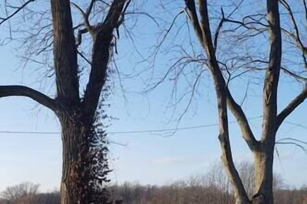Photo of Others in Plainview