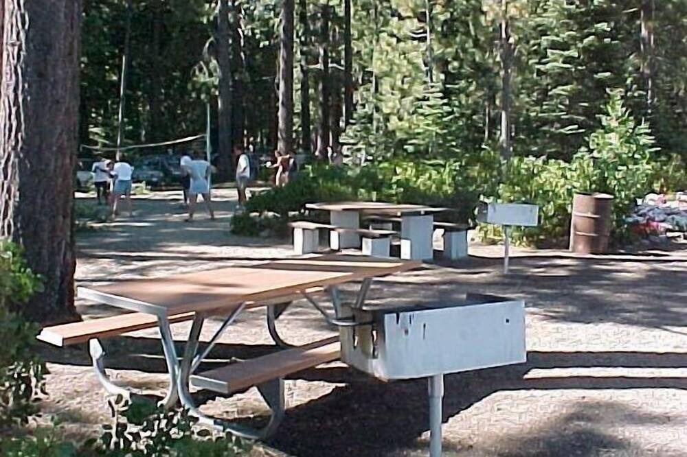 Photo of Others in Talmont