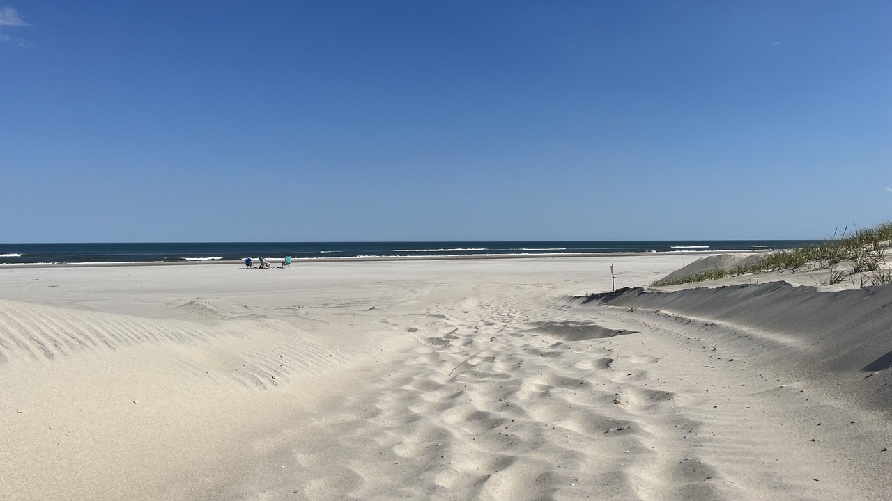 Photo of Others in Sea Isle City