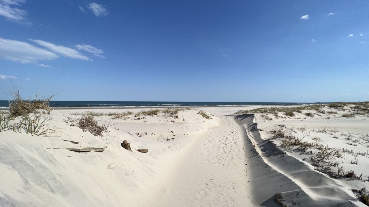 Photo of Others in Sea Isle City