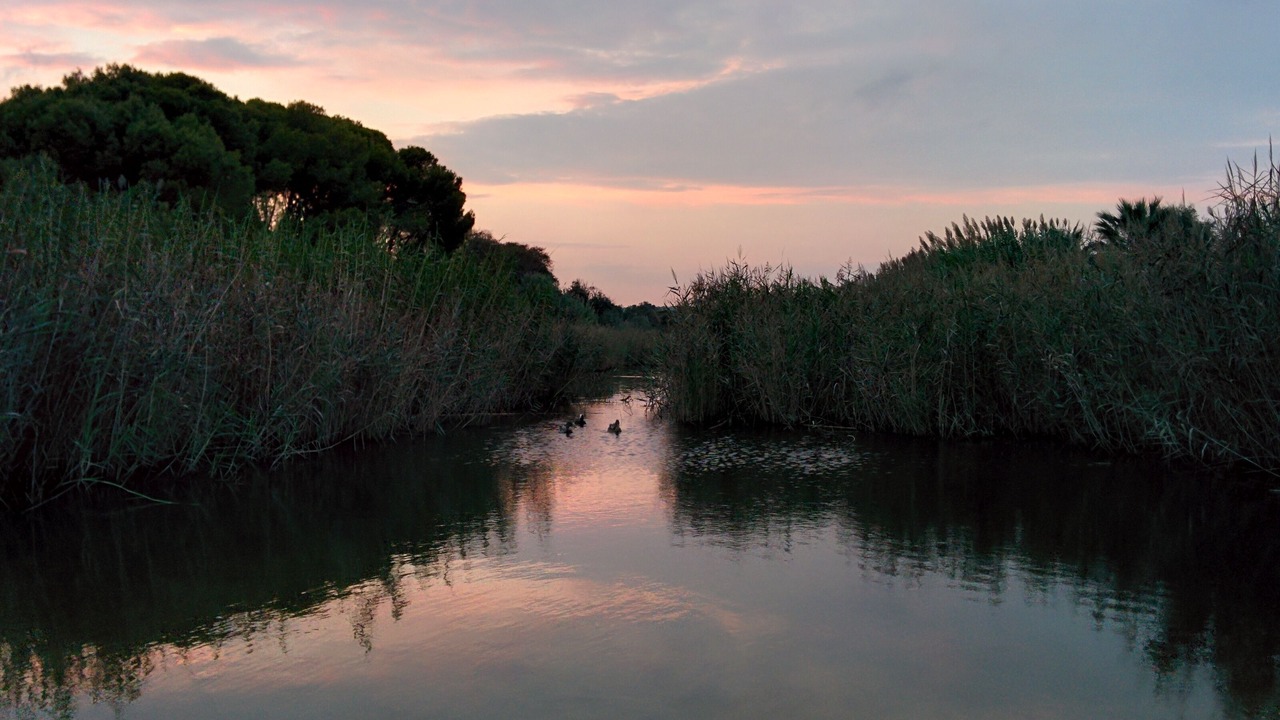 Photo of Outdoor in Tamarit