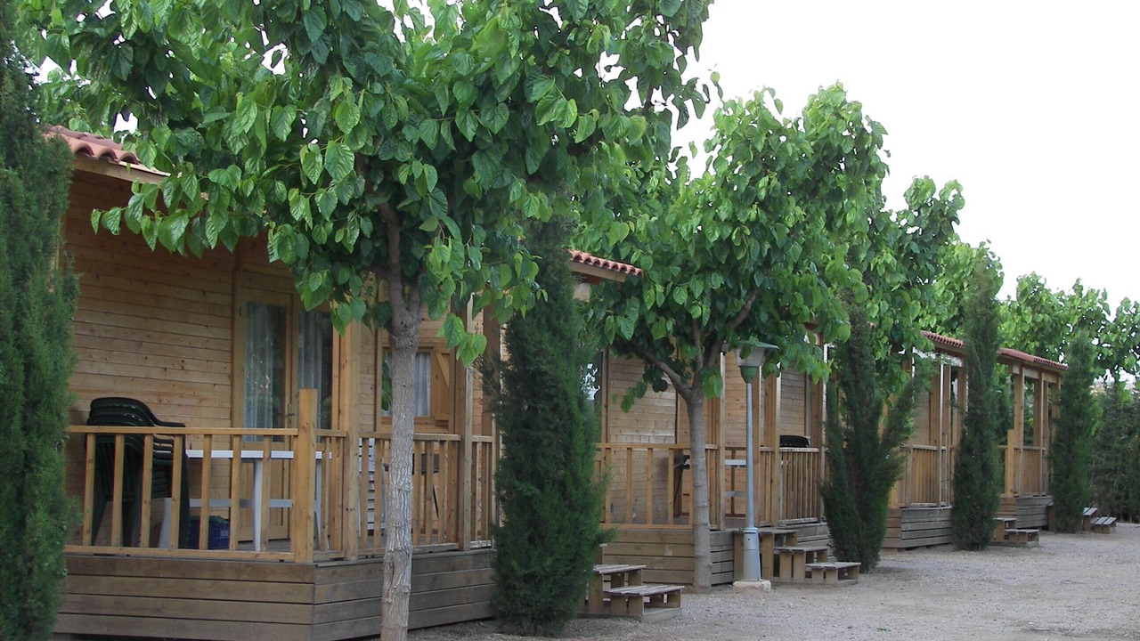 Photo of Others in Tamarit
