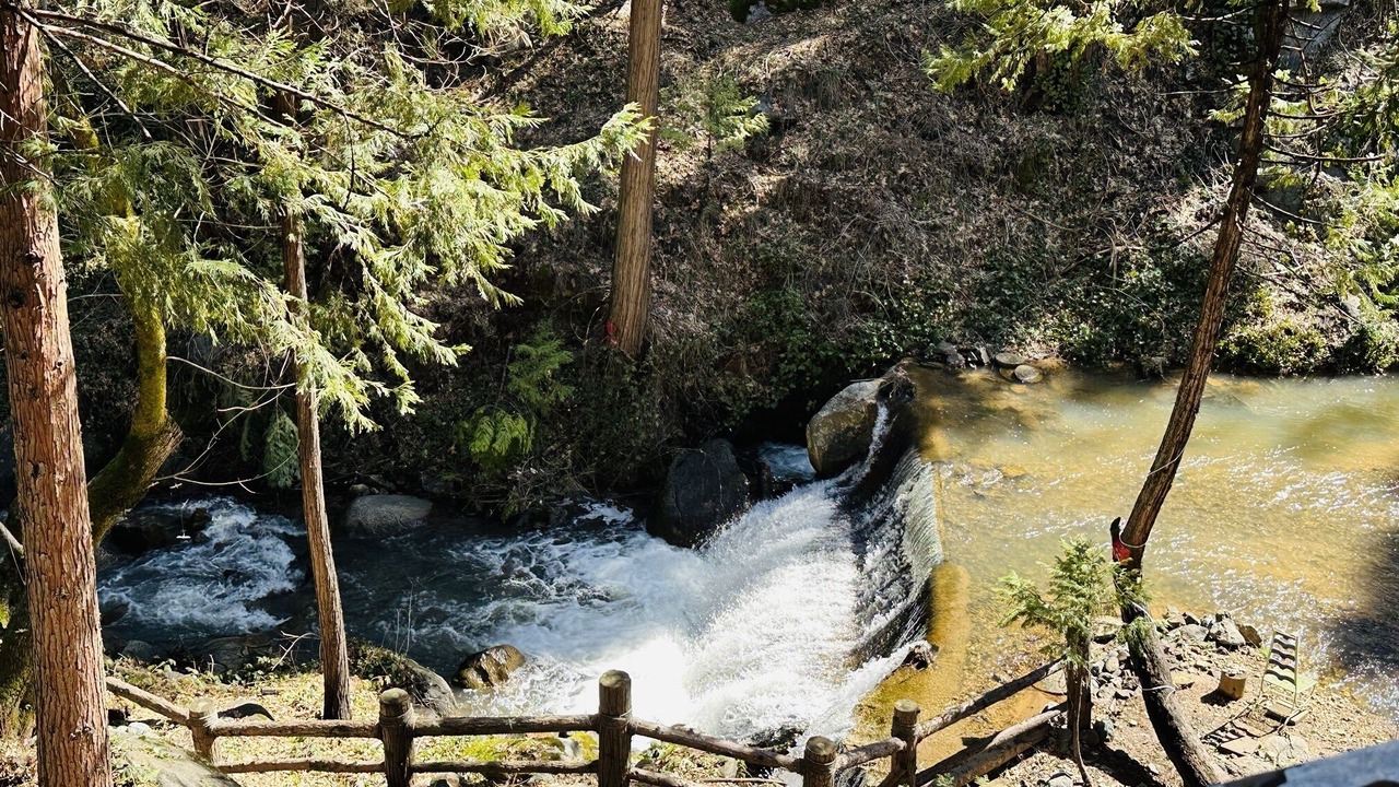 Photo of Others in Nevada City