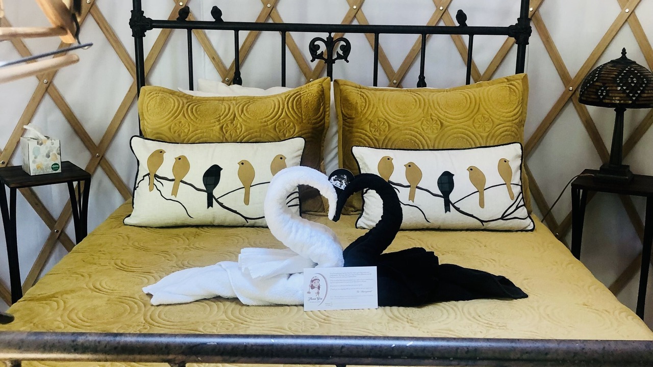 Photo of Others in Nevada City