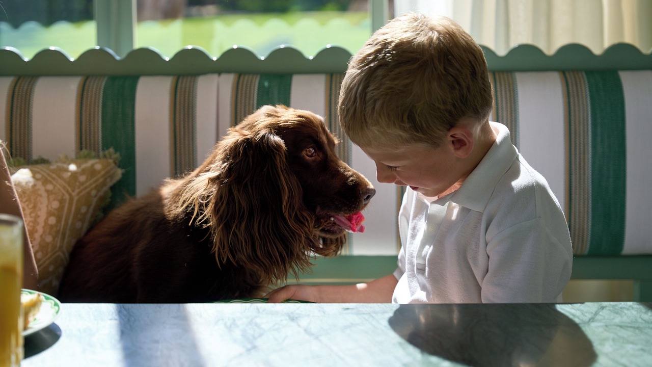 Photo of Livingroom in Elcot