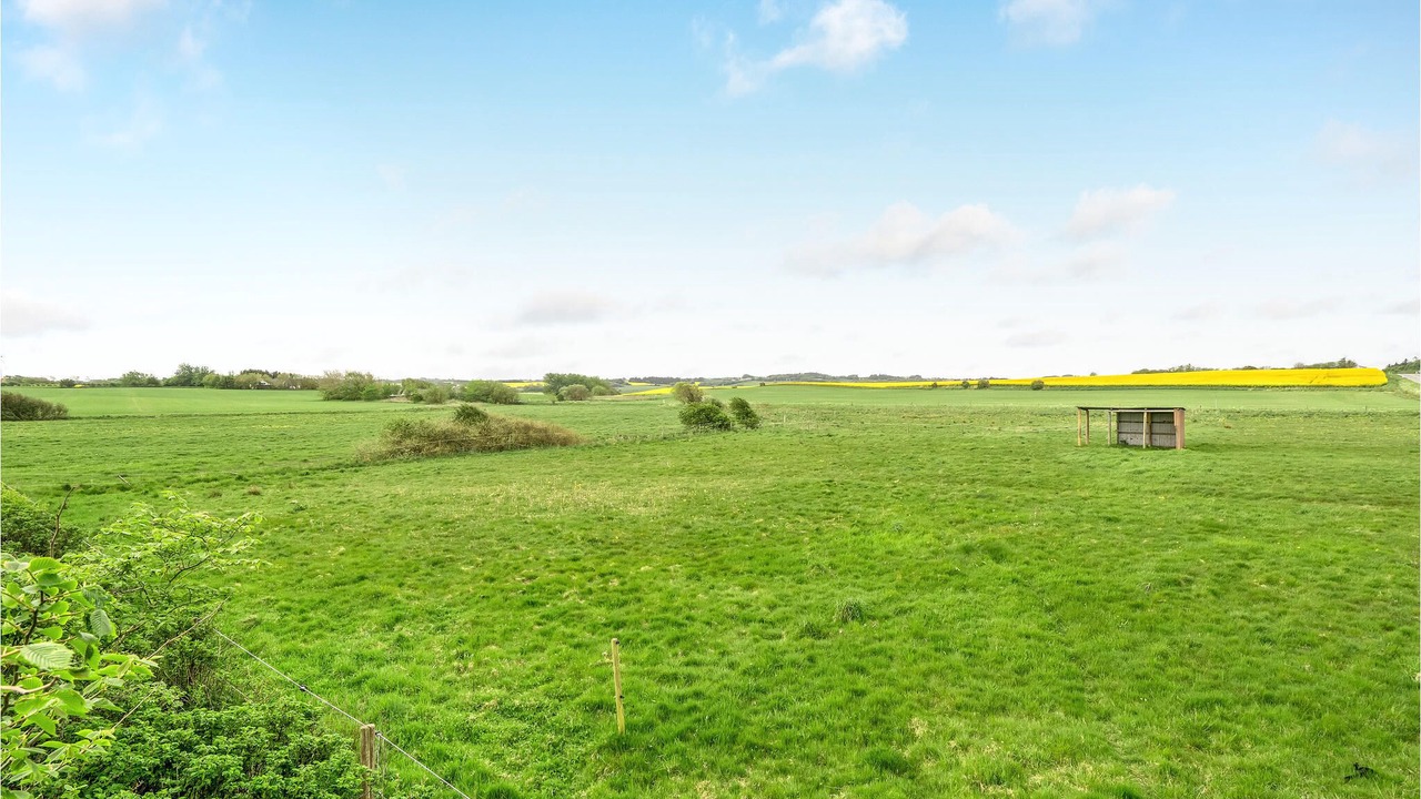 Photo of Others in Struer