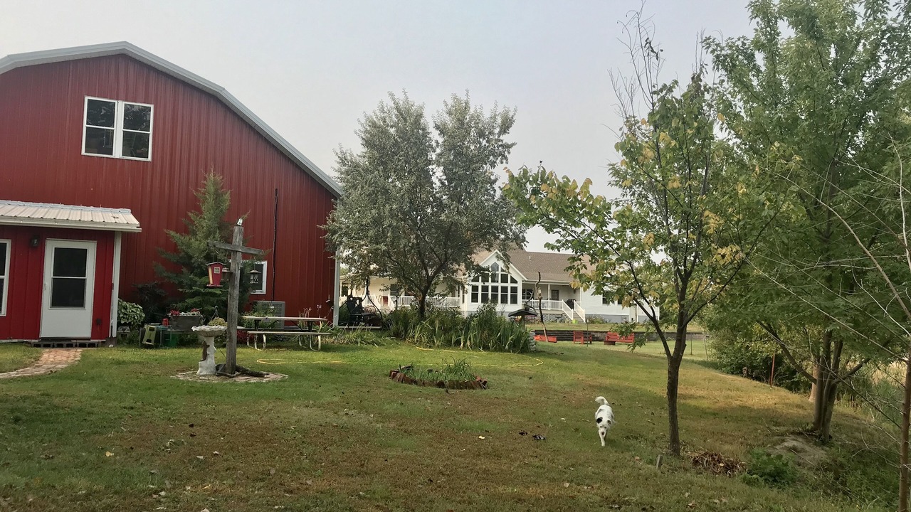 Photo of Outdoor in Gibbon