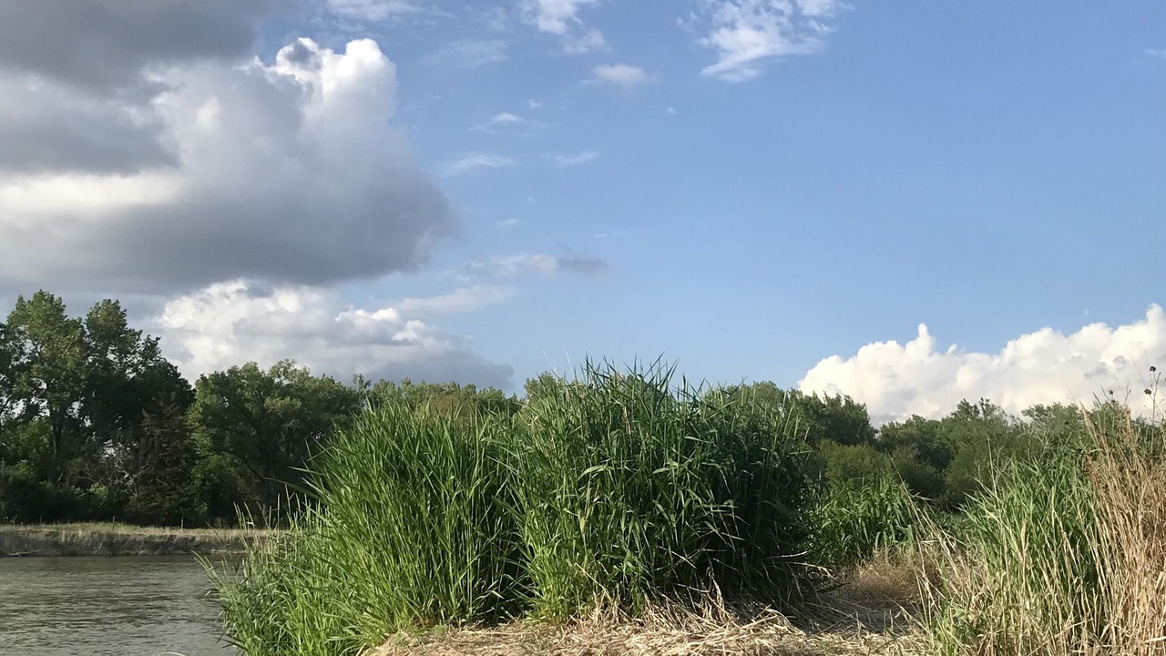 Photo of Outdoor in Gibbon