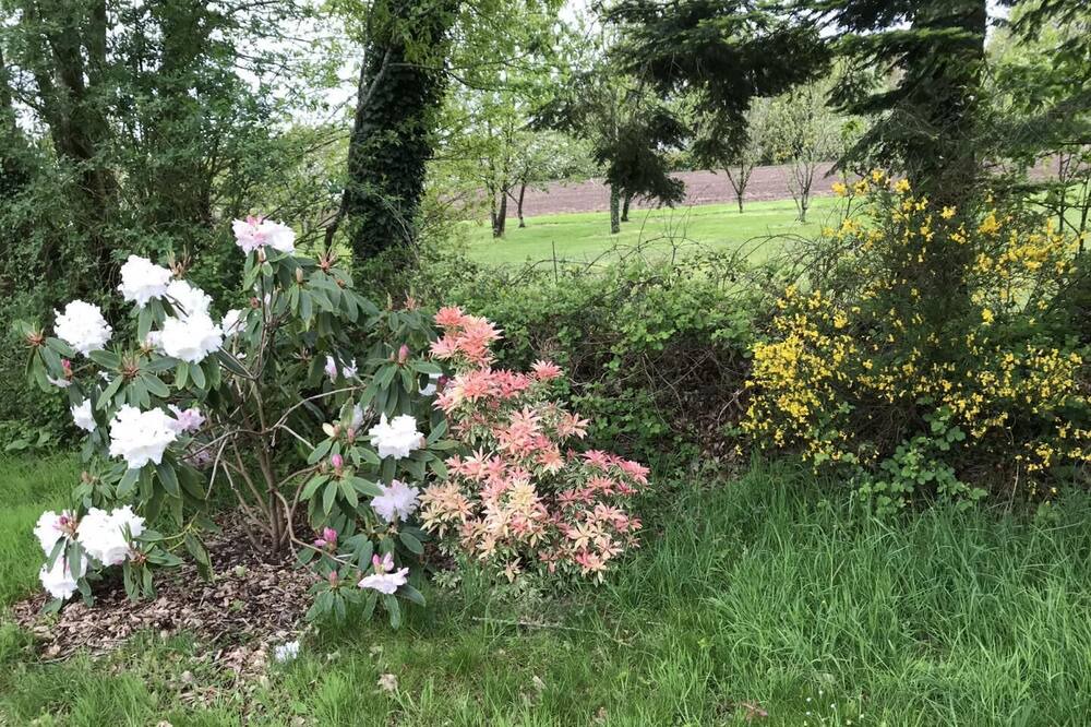 Photo of Outdoor in Melrand