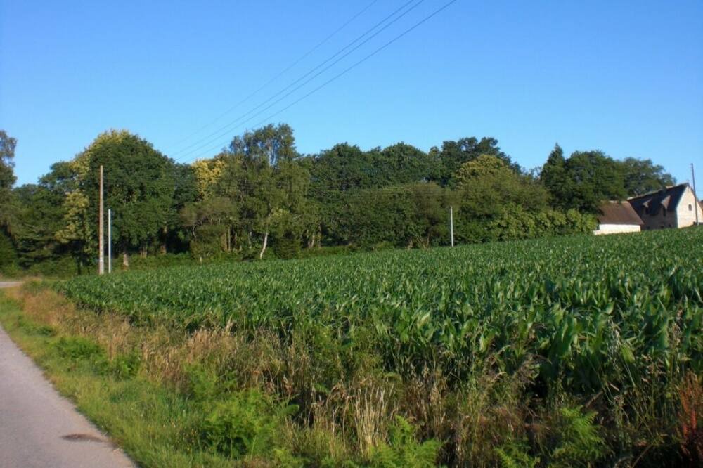 Photo of Outdoor in Melrand