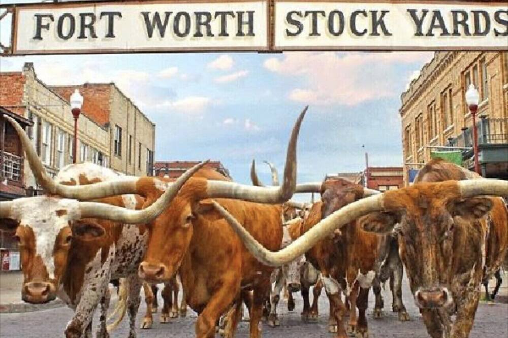 Photo of Outdoor in Fort Worth