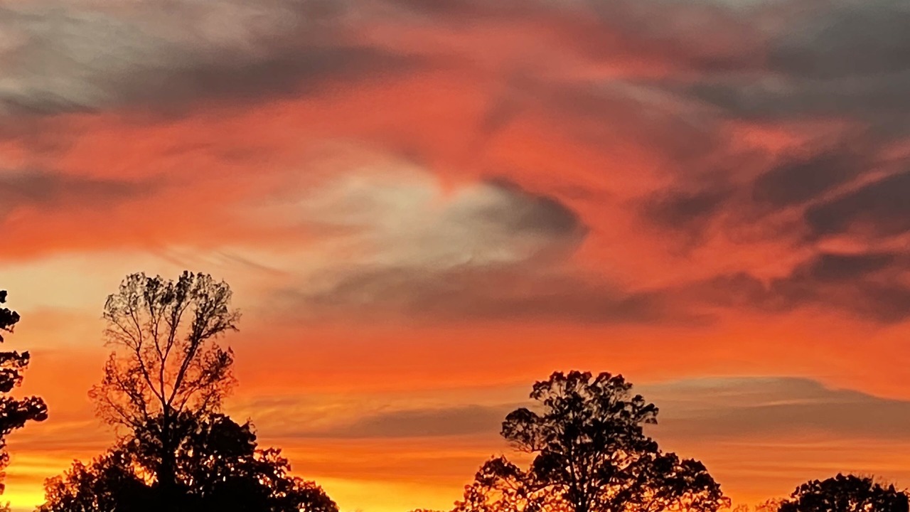 Photo of Outdoor in Golden