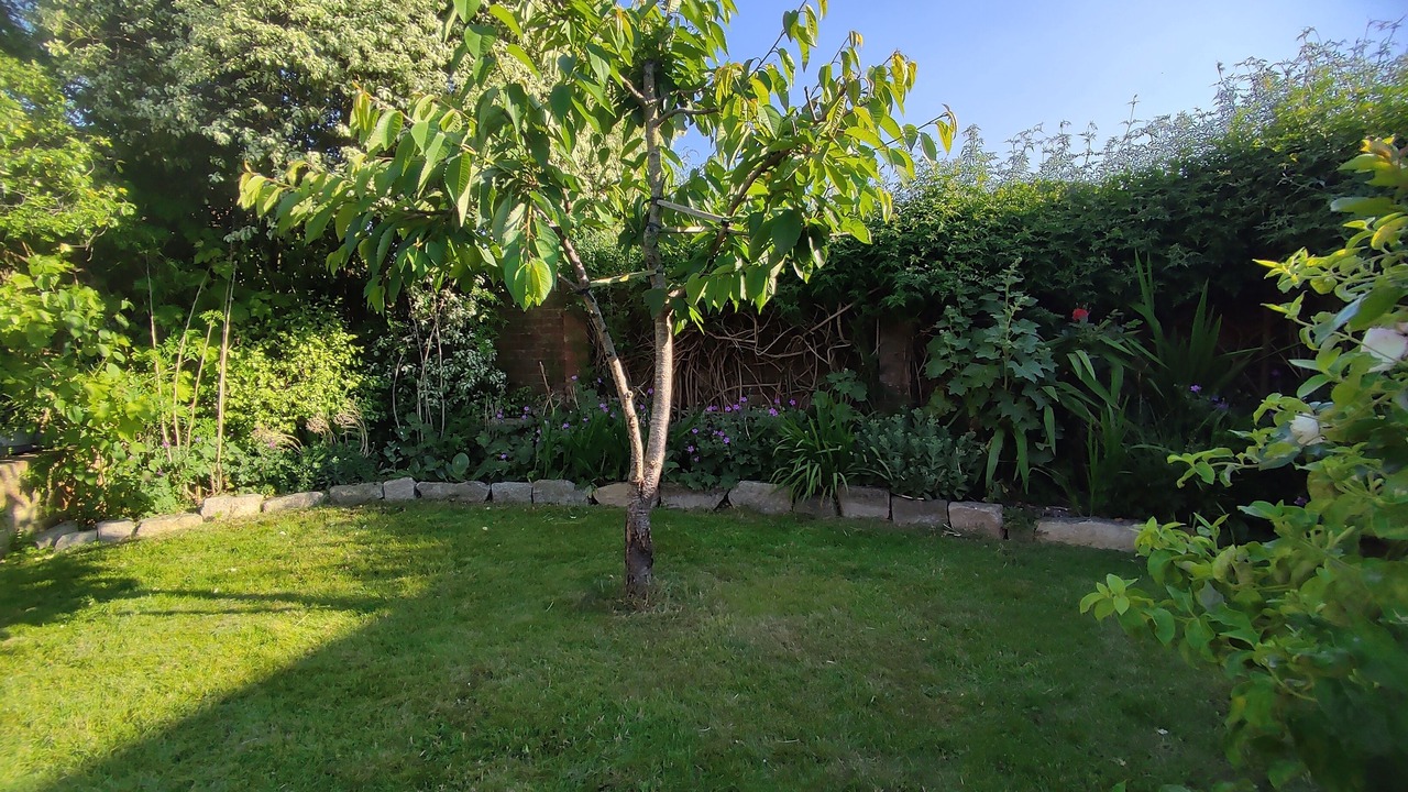 Photo of Outdoor in Britford