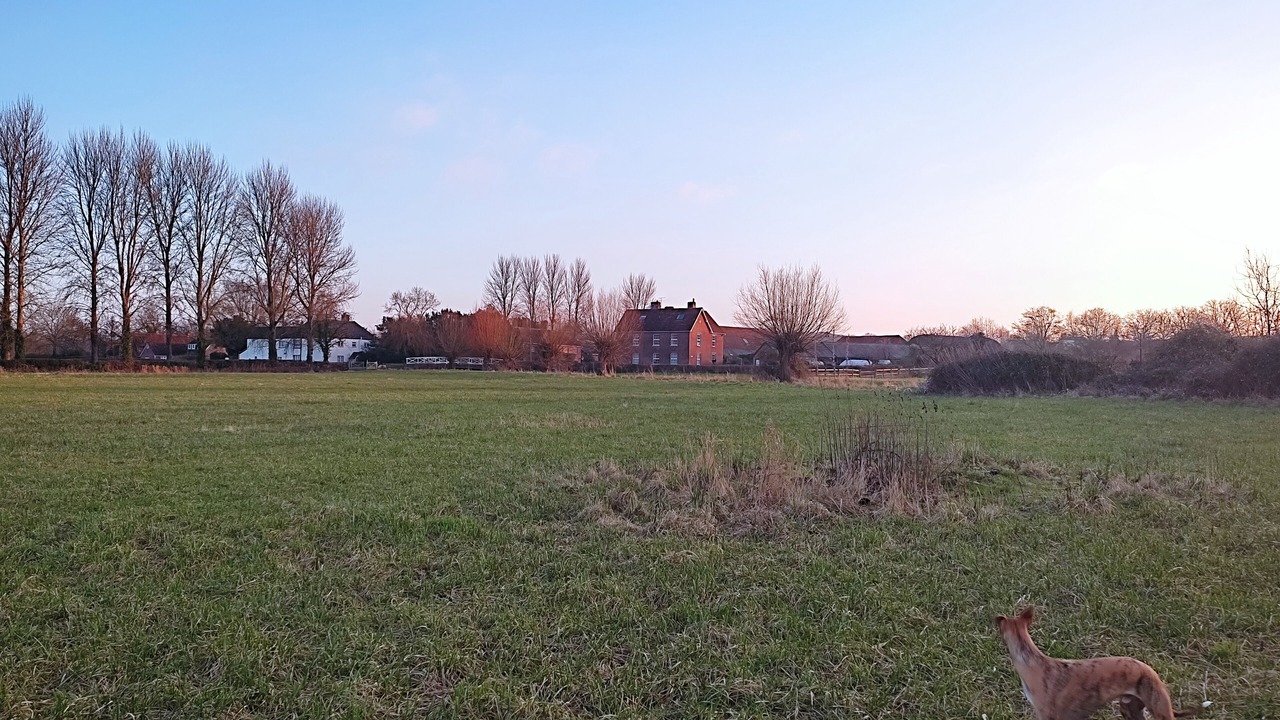 Photo of Outdoor in Britford