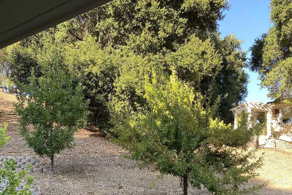 Photo of Outdoor in Los Gatos