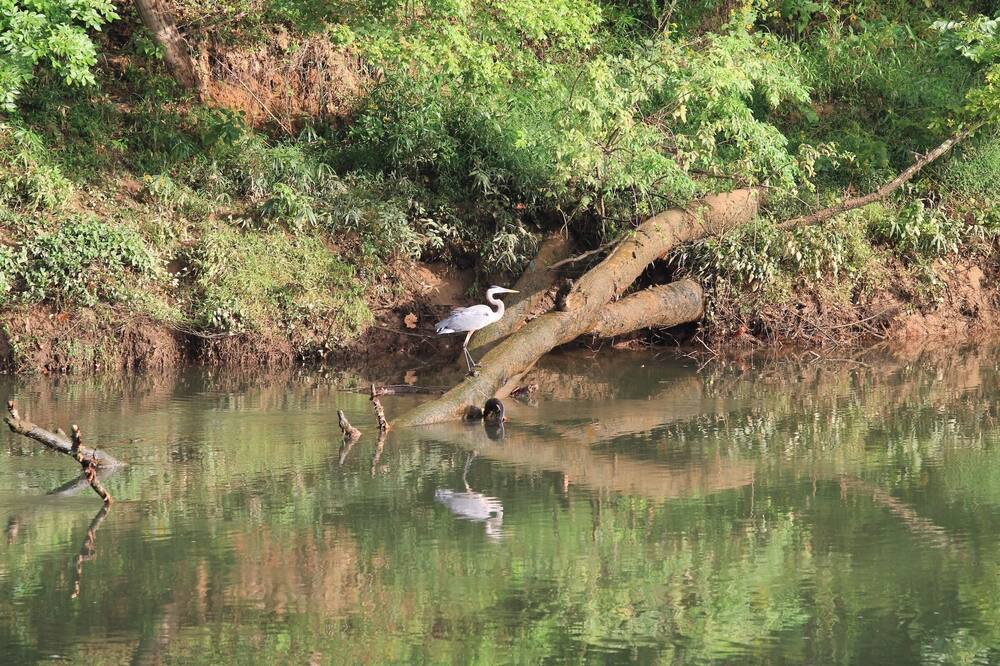 Photo of Outdoor in Silver Creek