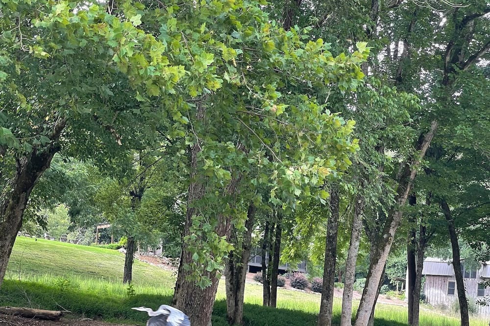 Photo of Outdoor in Silver Creek
