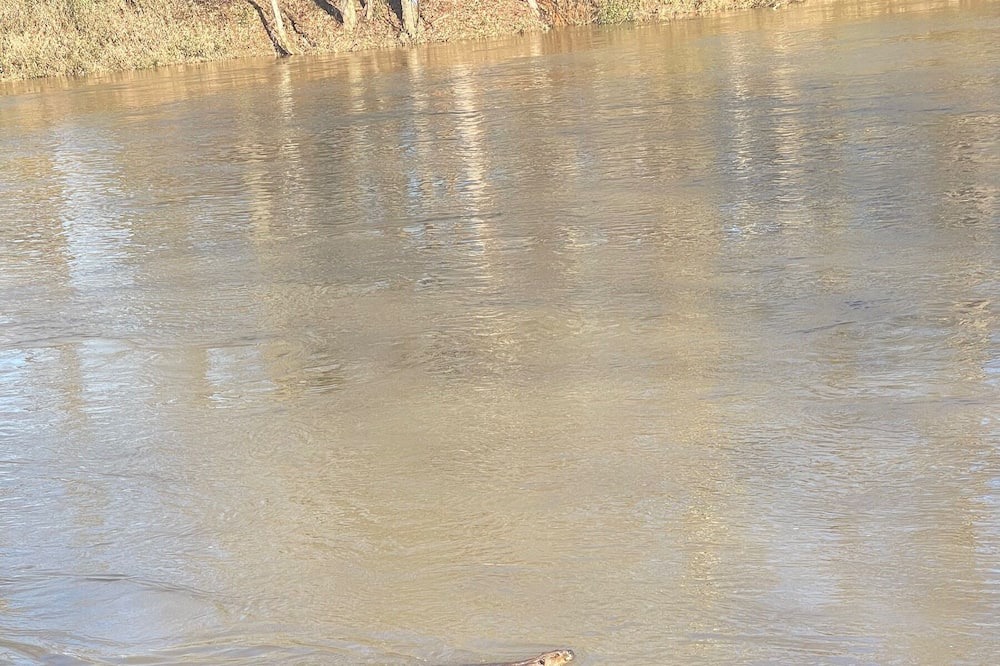 Photo of Outdoor in Silver Creek