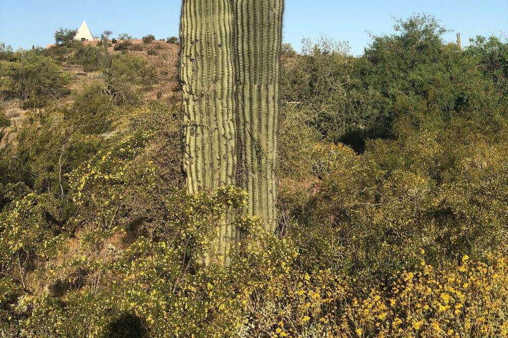 Photo of Outdoor in Tempe