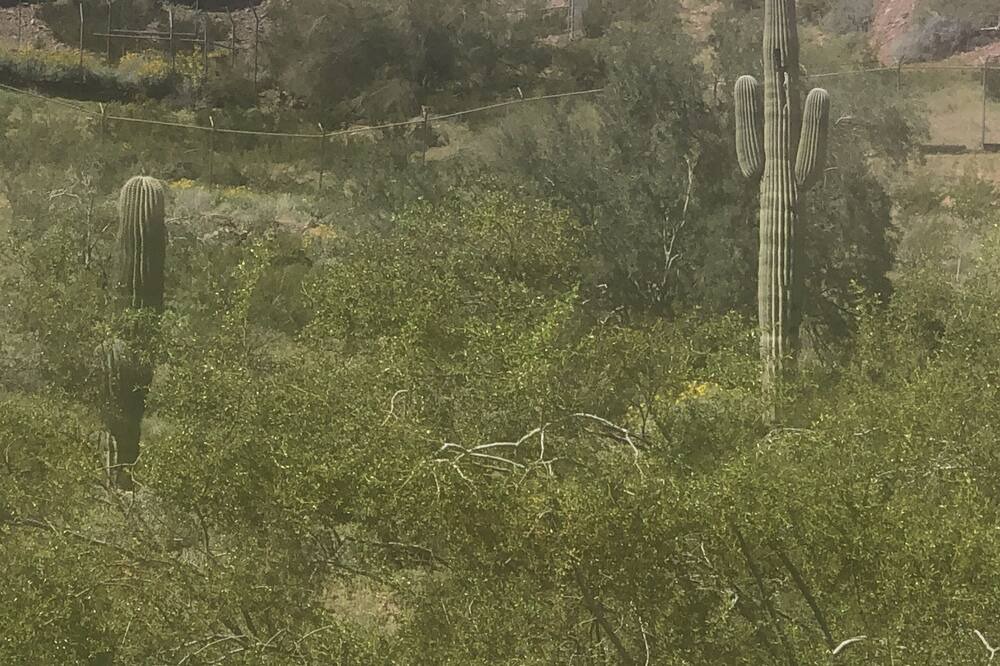 Photo of Outdoor in Tempe