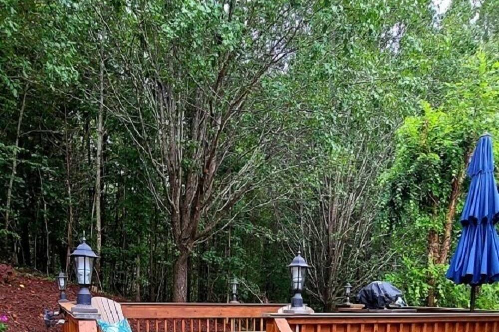 Photo of Outdoor in Lake Lure