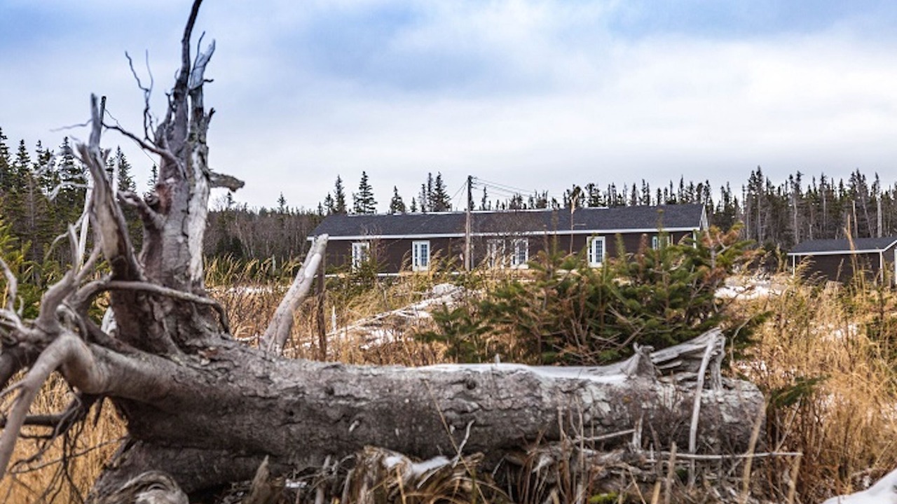 Photo of Others in L'Anse aux Meadows