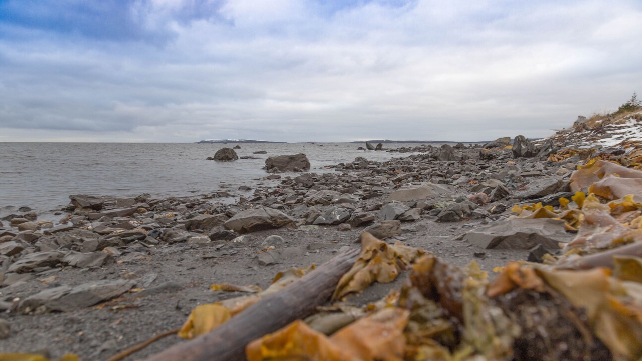 Photo of Others in L'Anse aux Meadows
