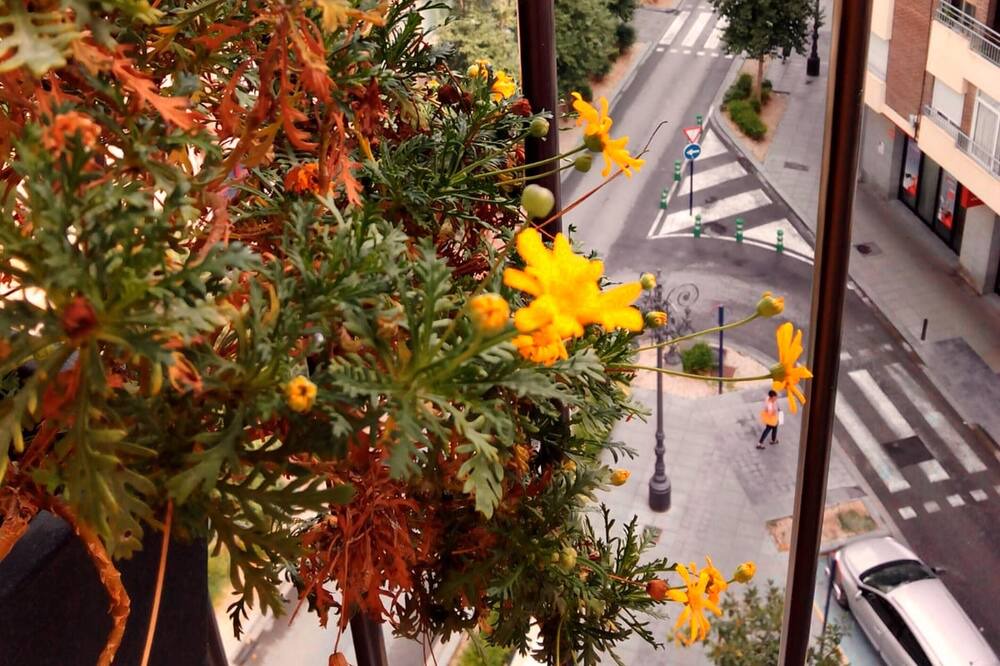 Photo of Others in Orihuela