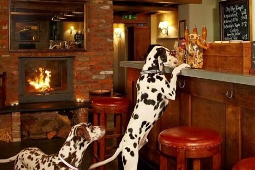 Photo of Others in Edington