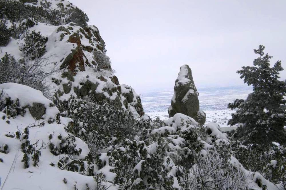 Photo of Others in Bronchales