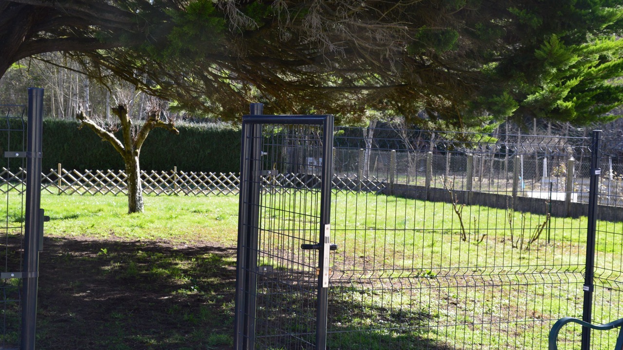 Photo of Outdoor in Poce-sur-Cisse