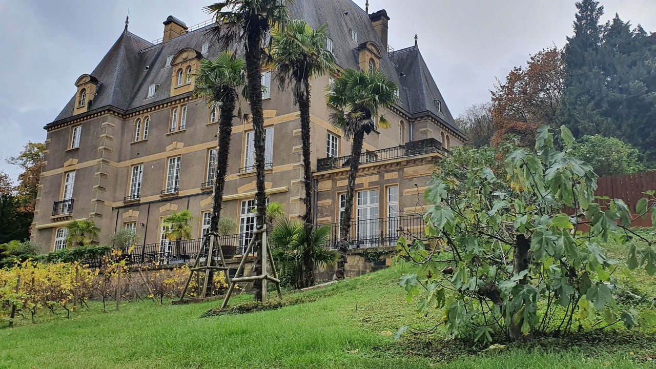 Photo of Outdoor in Hayange