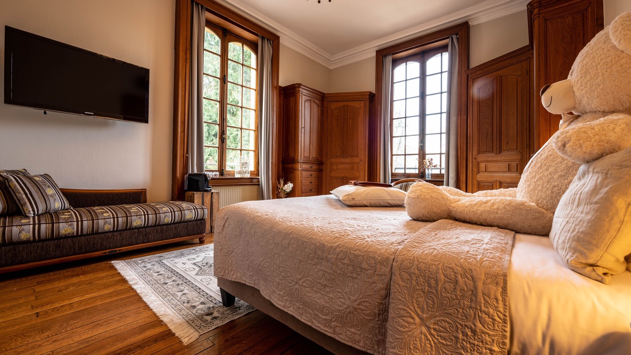 Photo of Bedroom in Hayange