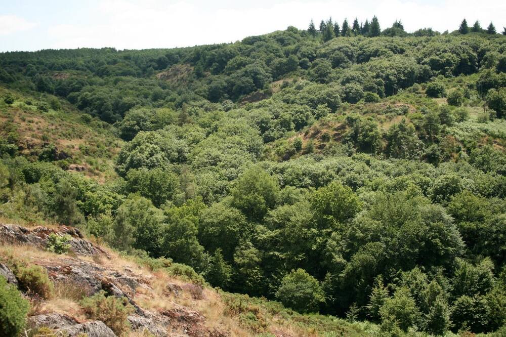 Photo of Outdoor in Bovel