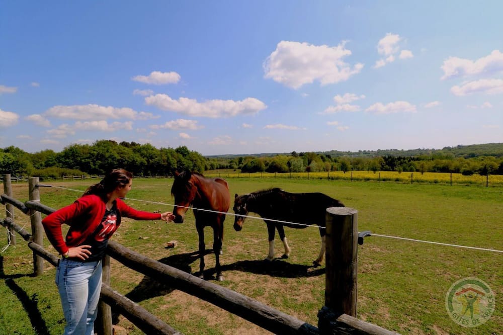 Photo of Others in Bovel