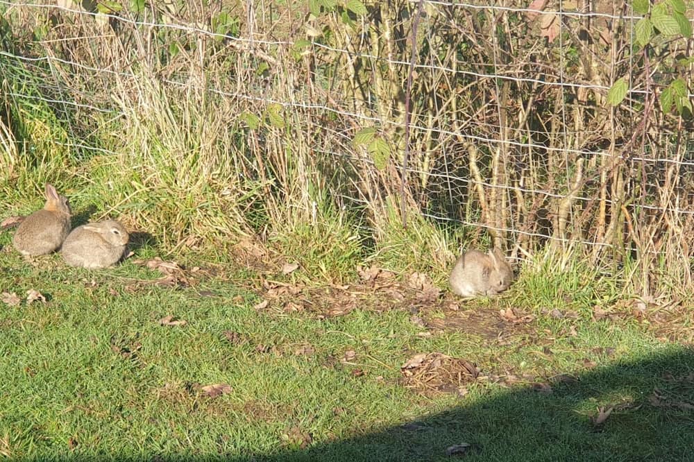 Photo of Outdoor in Bovel