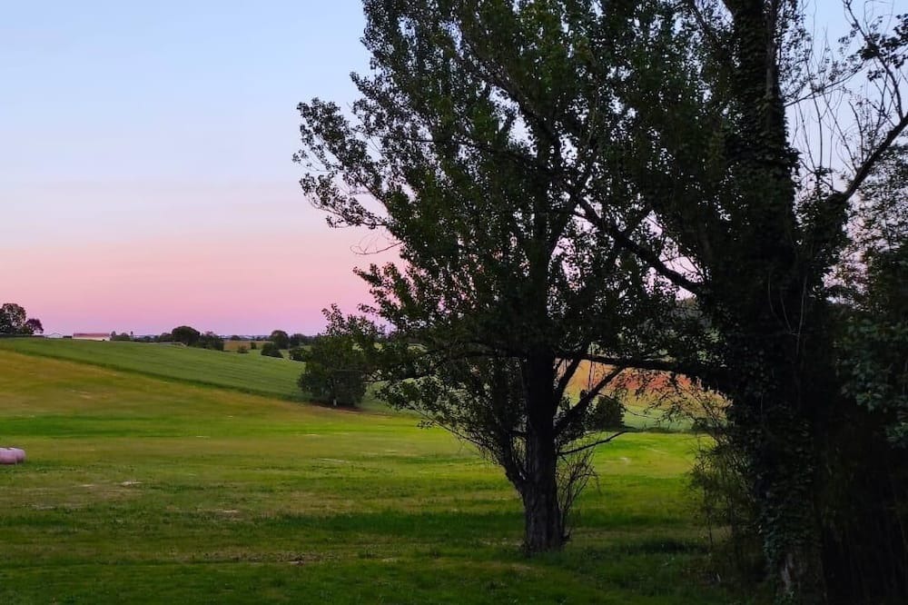 Photo of Others in Albi