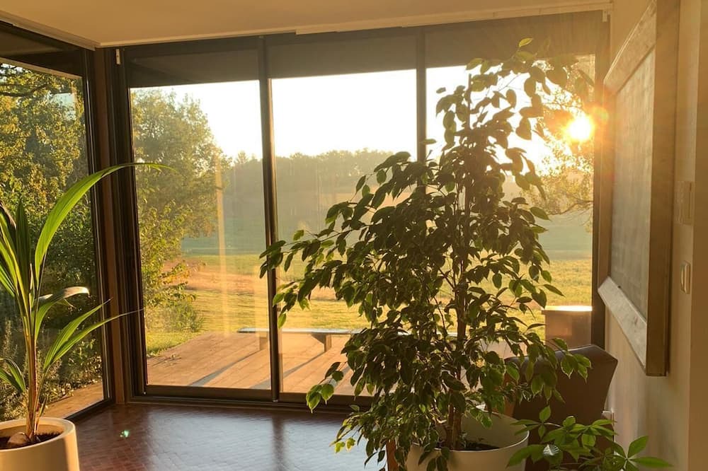 Photo of Others in Albi