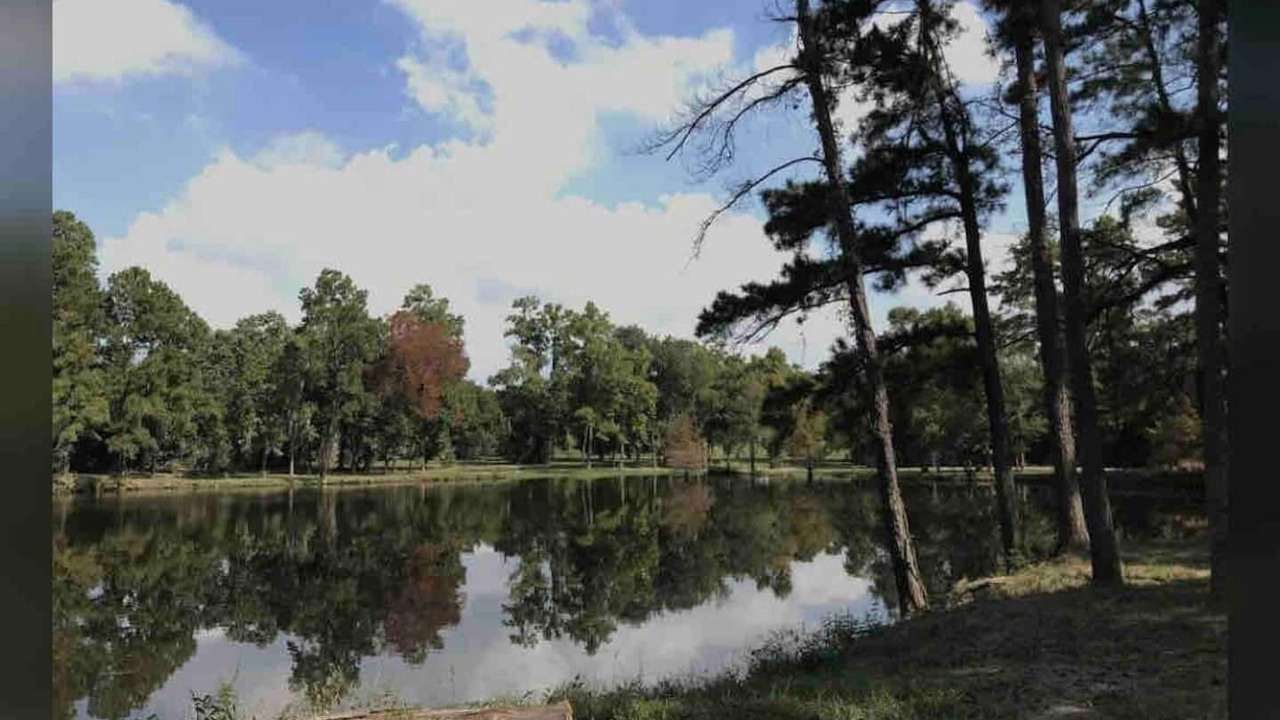 Photo of Outdoor in Houston