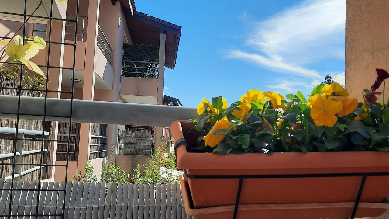 Photo of Outdoor in Garrigues