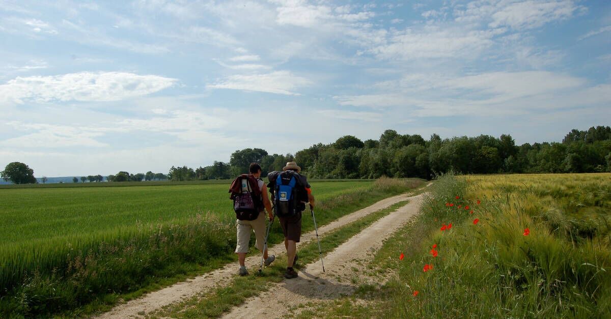 Photo of Outdoor in Morsains