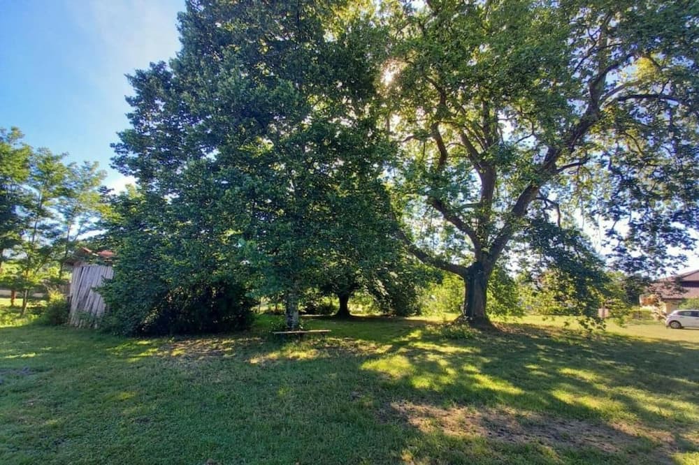 Photo of Outdoor in Belis