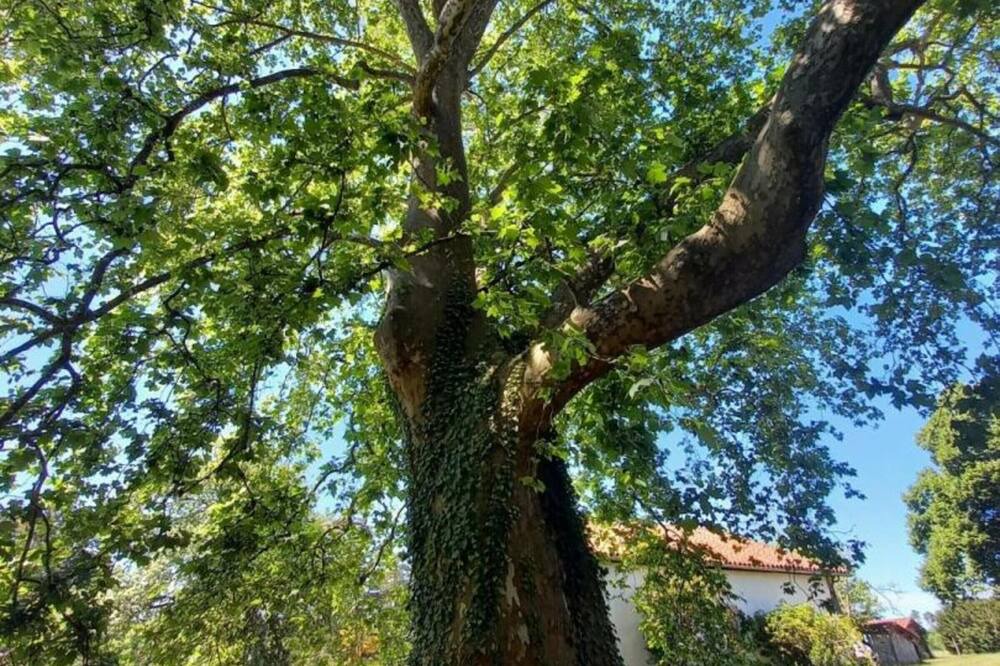 Photo of Outdoor in Belis